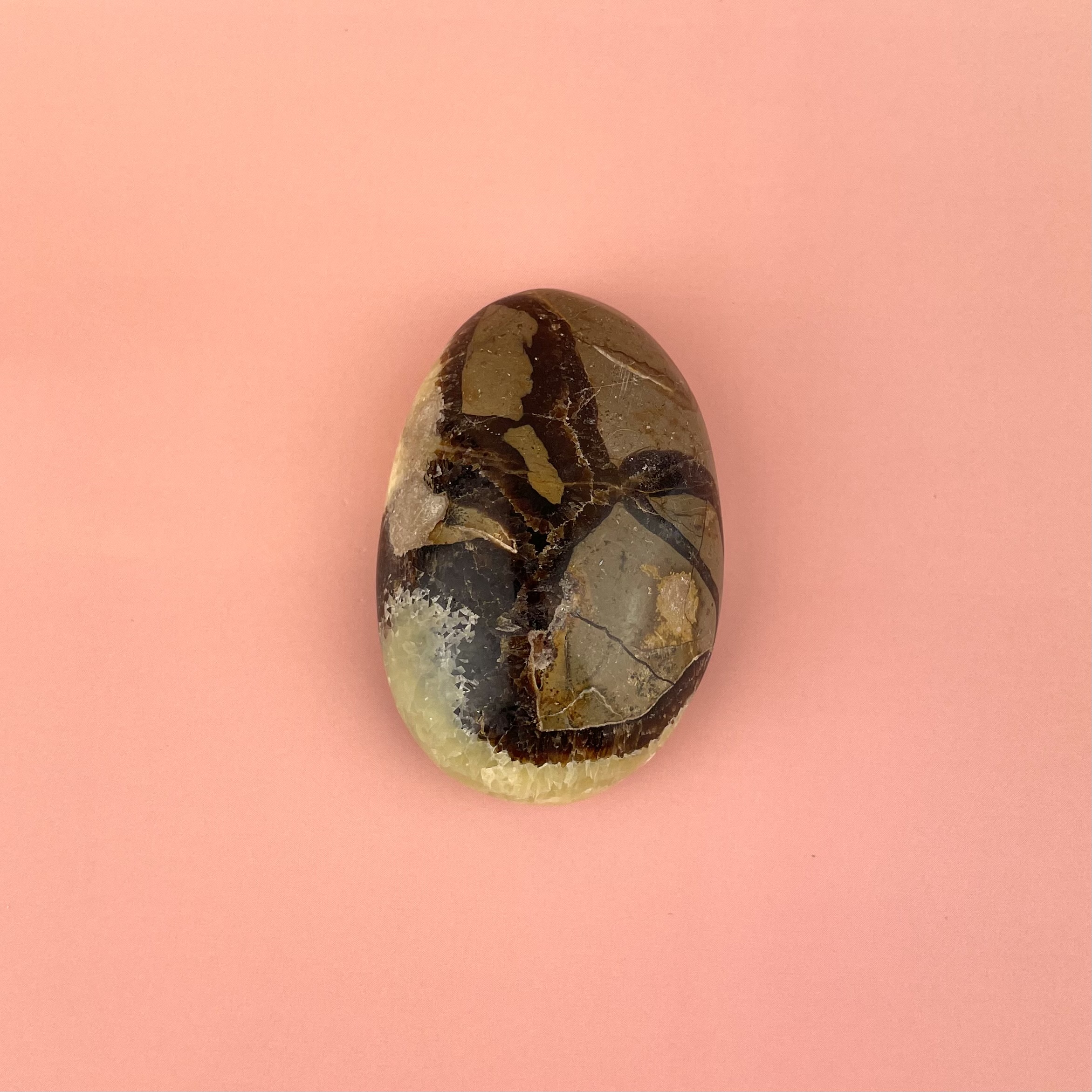 Septarie palmstone drageæg krystal med naturligt mønster