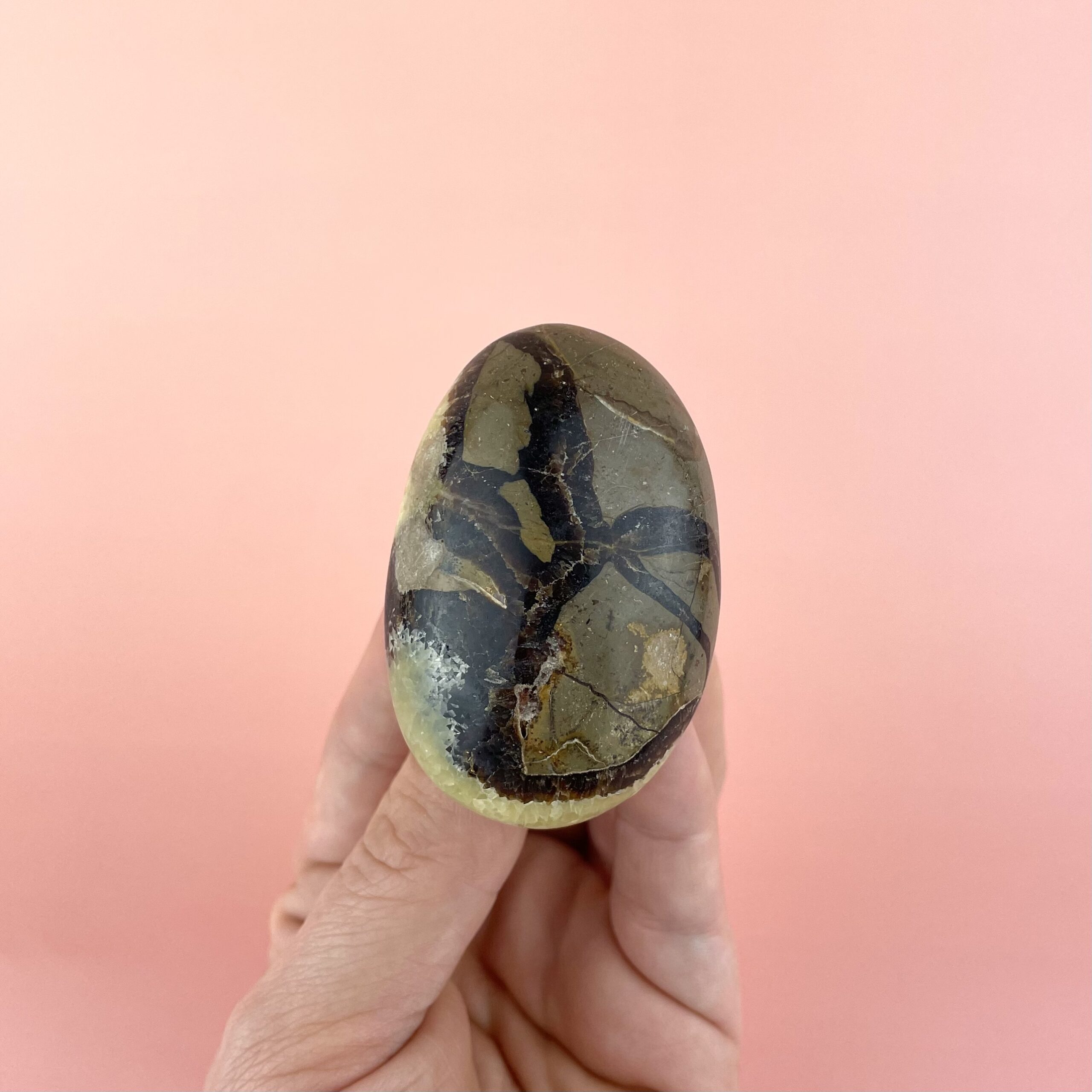 Septarie palmstone drageæg krystal med naturligt mønster